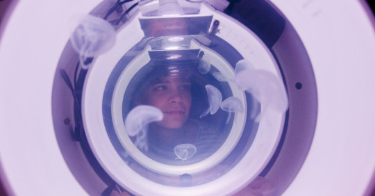 ROBERTINA ŠEBJANIČ: ‘Aurelia 1+Hz / proto viva generator